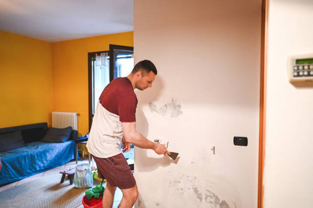 Best Mold Removal Specialists  in Lovelock, NV